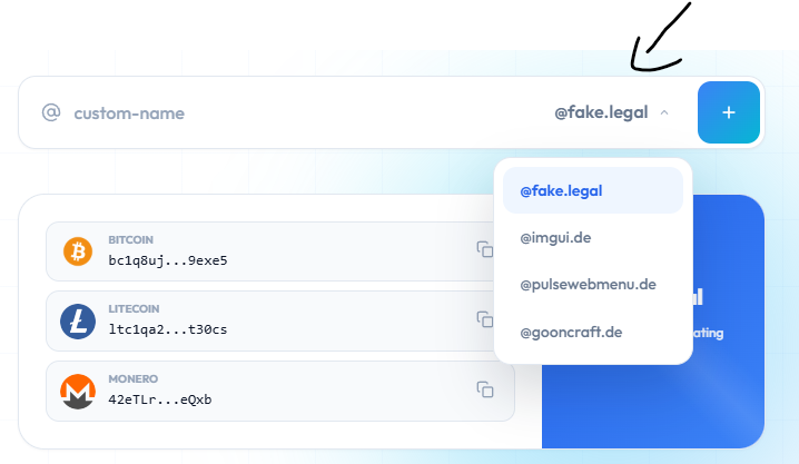 Custom name input and domain picker dropdown